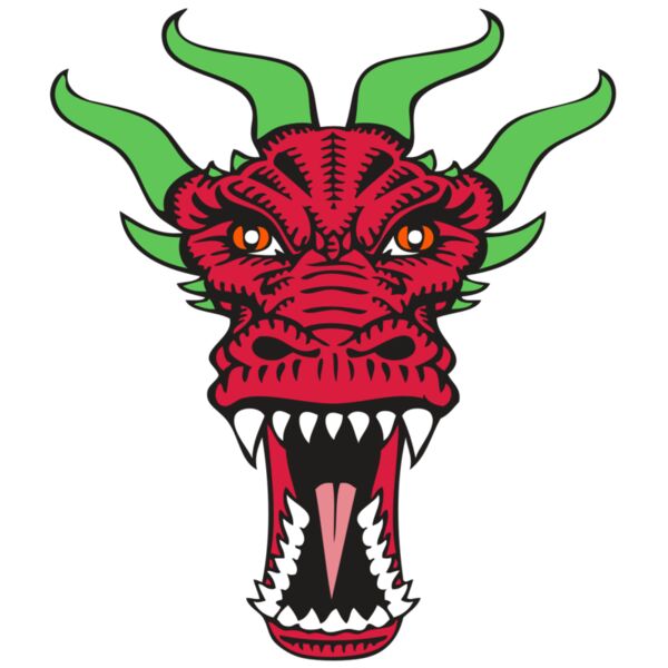 BAW DRAGON 09 RC Thumbnail